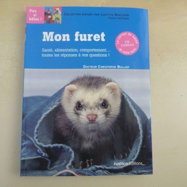 Les questions courantes sur le furet : guide complet et conseils pratiques