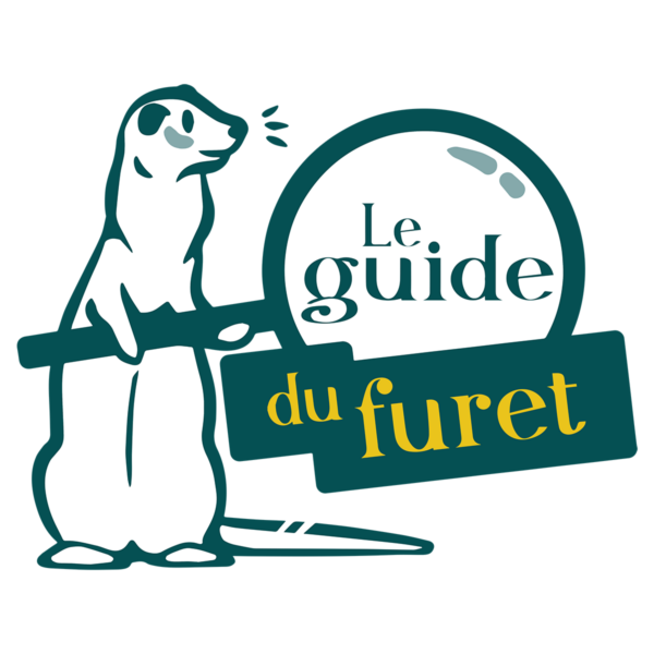 Soins naturels pour furet : Guide complet des remèdes holistiques et naturels