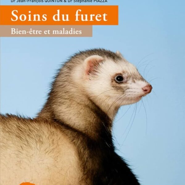 Soins quotidiens du furet: guide complet pour les propriétaires de furets